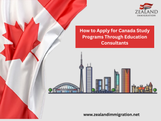 How to Apply for Canada Study Programs Through Education Consultants